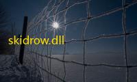 skidrow.dll